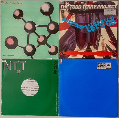 Lot 270 - DRUM & BASS / HOUSE / TRANCE / HARDCORE - LP COLLECTION