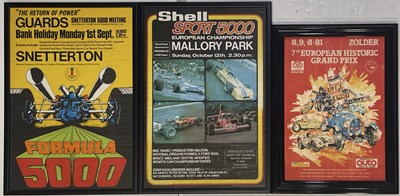 Lot 6 - MOTORSPORT - FORMULA 5000 AND OTHER EVENTS.