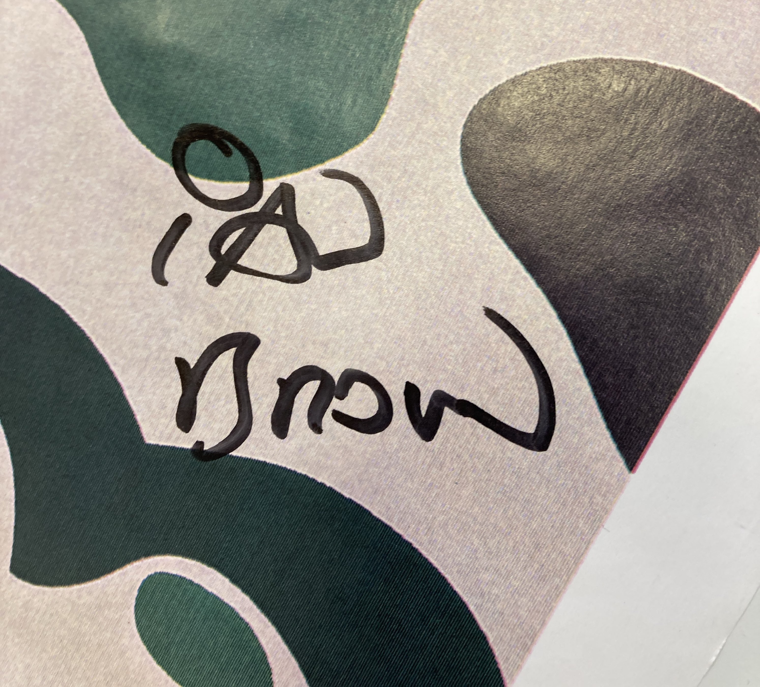 Lot 203 IAN BROWN ADIDAS SUPERSTAR 1 SHOES IN BOX.