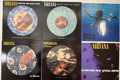 Lot 289 - NIRVANA - LP / 12" PICTURE DISC PACK