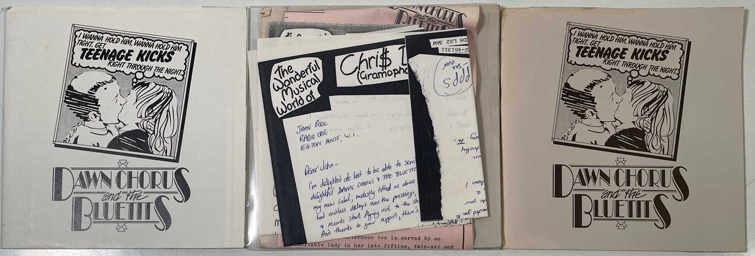 Lot 35 - DAWN CHORUS & THE BLUE TITS - TEENAGE KICKS 7" COLLECTION (INCLUDING TEST PRESSING)