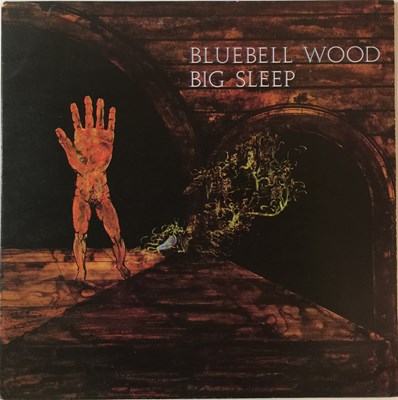 Lot 184 - BLUEBELL WOOD - BIG SLEEP LP (PEGASUS - PEG 4)