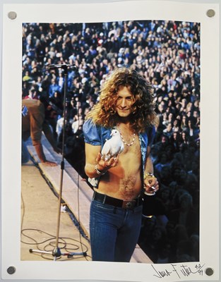 Lot 425 - LED ZEPPELIN - ROBERT PLANT - LIMITED EDITION JAMES FORTUNE SIGNED PRINT.