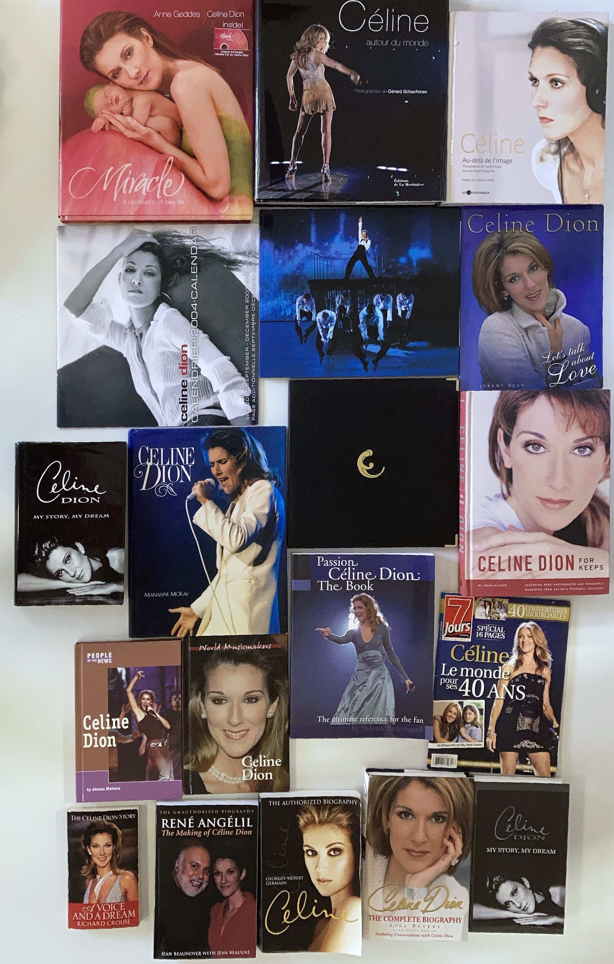 Lot 31 - CELINE DION COLLECTION.