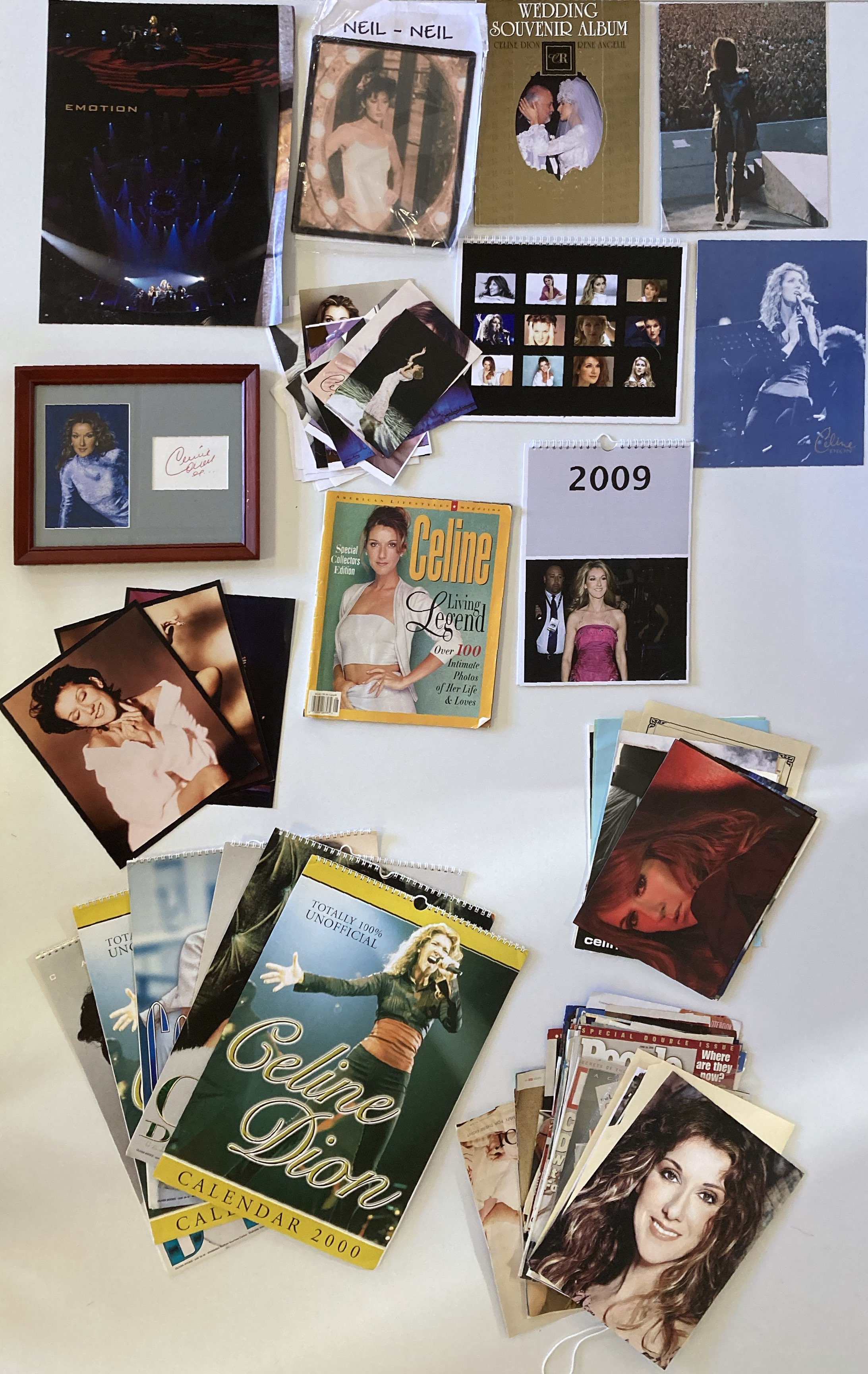 Lot 31 - CELINE DION COLLECTION.