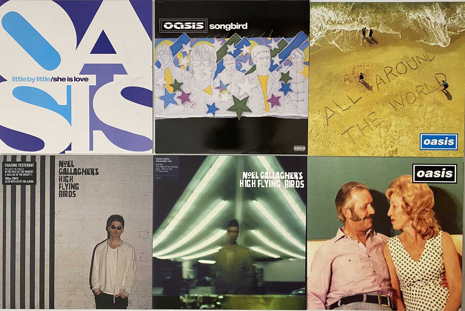 Lot 24 - OASIS 12" COLLECTION & NOEL GALLAGHER LP'S