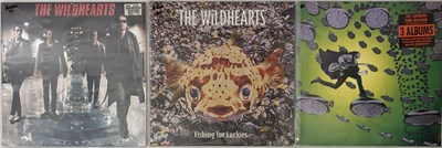 Lot 31 - JOE SATRIANI / THE WILDHEARTS LP LOT